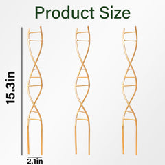 Close-up of Yohsnor DNA Plant Trellis spiral design