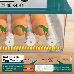 CoInceptus 16 Egg Incubator display with temperature settings