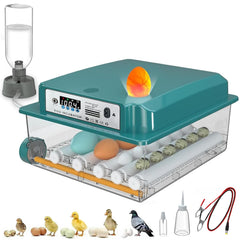 CoInceptus 16 Egg Incubator front view