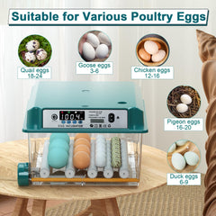 CoInceptus 16 Egg Incubator side view showing automatic turning