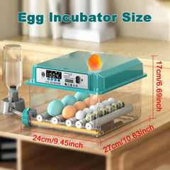 CoInceptus 16 Egg Incubator with egg candler