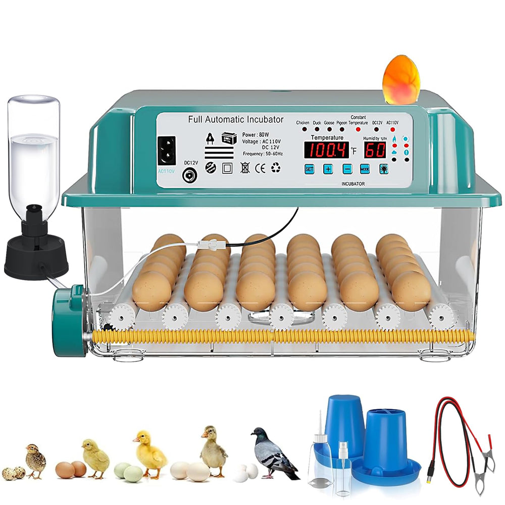 CoInceptus 36 Eggs Incubator front view with adjustable rollers