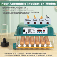 CoInceptus 36 Eggs Incubator showing automatic egg turning feature