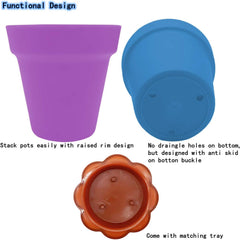 Colorful small plant nursery pots with trays and humidity domes
