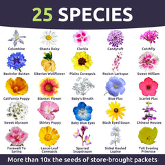 Colorful wildflowers blooming from SWEET YARDS mix