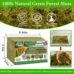 Compressed Halatool sphagnum moss in packaging