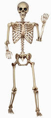 CONNICS skeleton seated on a porch step