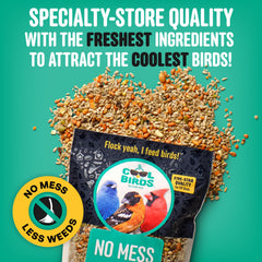 COOL BIRDS No Mess bird seed in a feeder