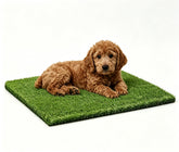 CooZero 26"x30" Artificial Grass Pee Pad front view