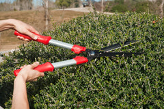 Corona HS3244 Hedge Shear in use trimming a hedge