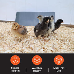 Cozy Products Chicken Coop Heater with electric cord detail