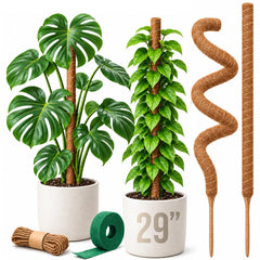 Craft911 29-inch moss pole plant support front view