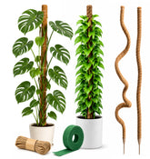 Craft911 64-inch moss pole for Monstera plant support, front view