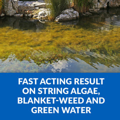 CrystalClear Algae D-Solv application instructions on back