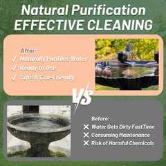 CTTZCKJ Copper Bird Bath Purification Disk with water in birdbath