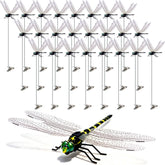 Cushry 3D Dragonfly Clip front view with vibrant colours