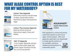Cutrine-Plus Liquid Algaecide in outdoor pond application