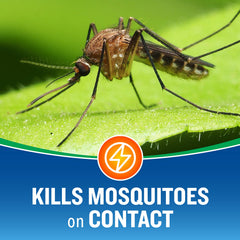 Cutter Backyard Bug Control Fogger application in backyard