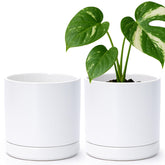 D'vine Dev 2-Pack Ceramic Pots front view, white 6.5 inches
