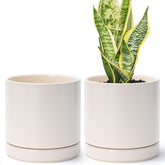 D'vine Dev 2-Pack Ceramic Pots, Oatmeal front view