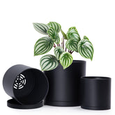D'vine Dev 3-Pack Plastic Pots in Matte Black, 4, 5, 6 inches