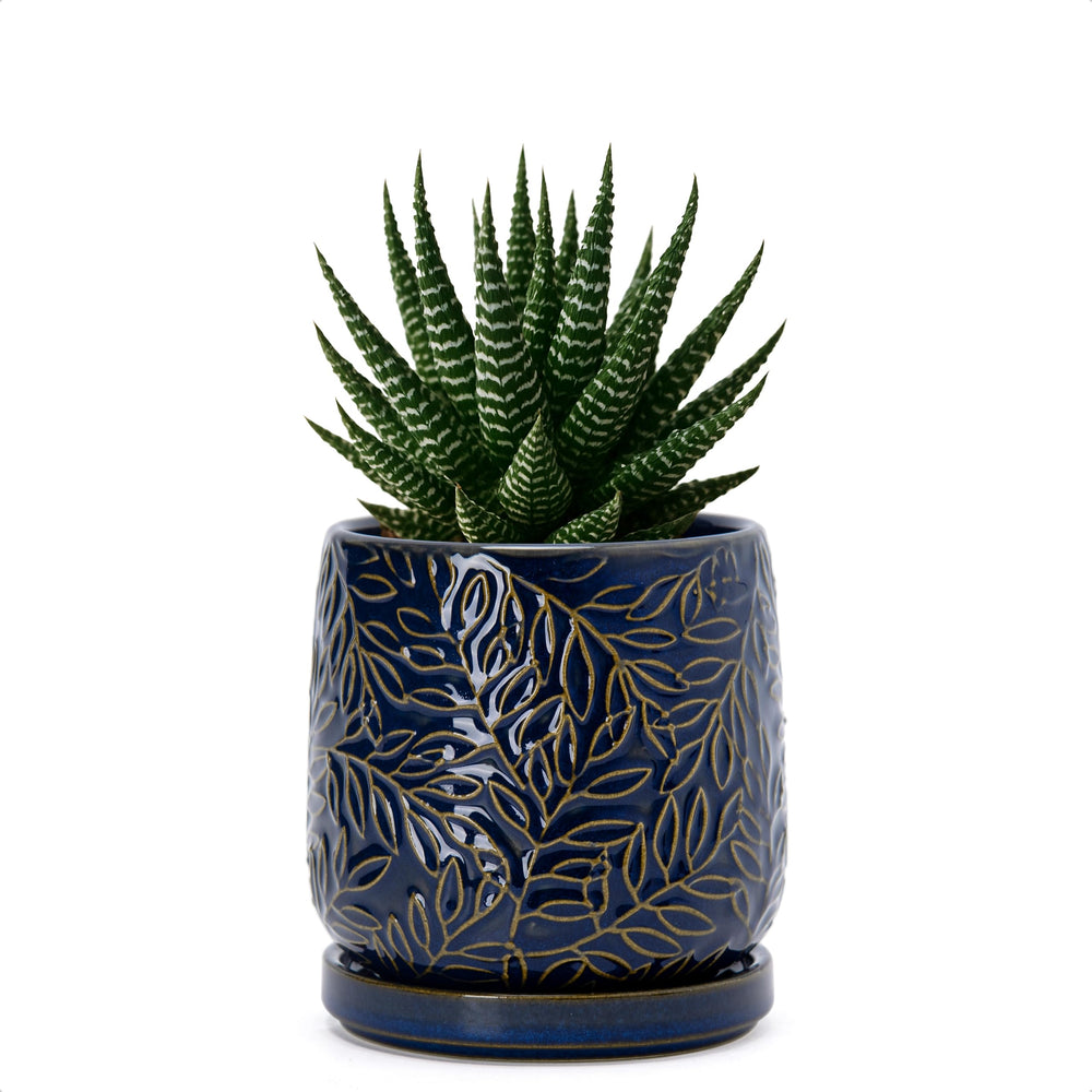 D'vine Dev 4 Inch Ceramic Planter Midnight Blue with Embossed Leaf Design