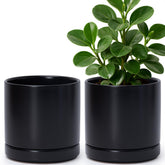 D'vine Dev 6.5 in black ceramic planter pot front view