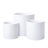 D'vine Dev 6.5-inch white planter pot with saucer