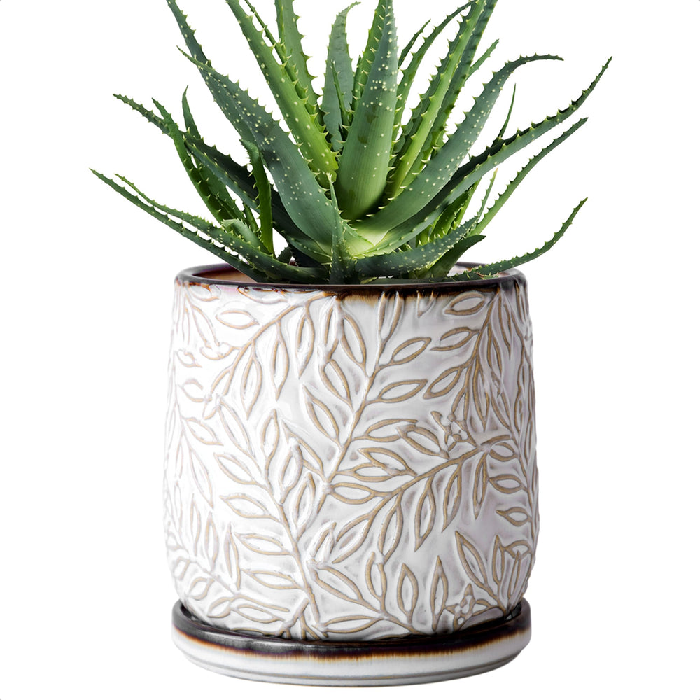 D'vine Dev 6-inch ceramic planter in smoked white with embossed leaves design