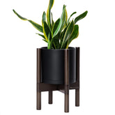 D'vine Dev 8 inch plastic pot with walnut wood stand front view