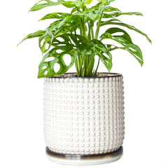 D'vine Dev Beaded Ceramic Pot front view in smoked white