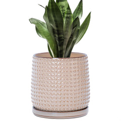 D'vine Dev Beaded Ceramic Pot front view with matching saucer