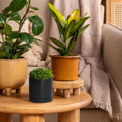 D'vine Dev black ceramic pot with drainage mesh net