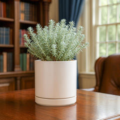D'vine Dev Ceramic Pot with Saucer, Oatmeal close-up