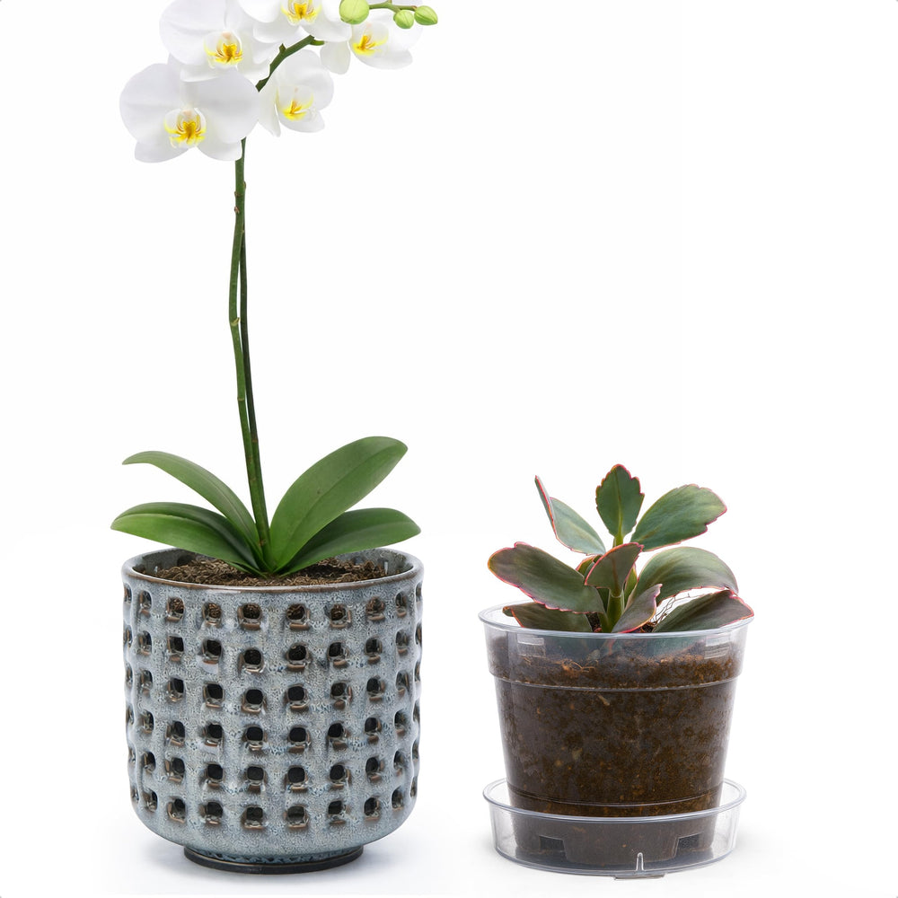 D'vine Dev Orchid Pot front view in graphite blue