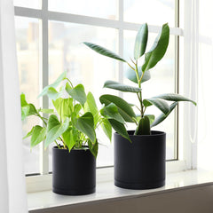 D'vine Dev plastic pots with detachable saucers