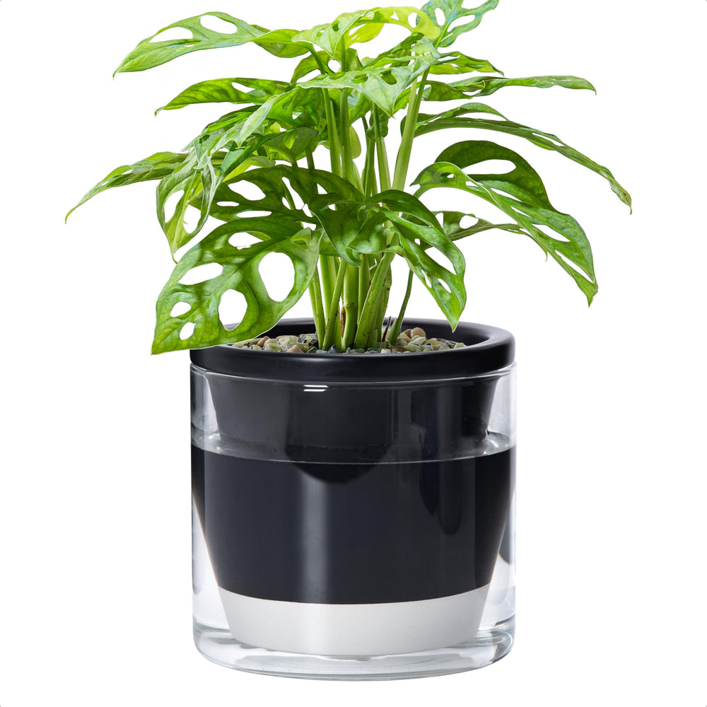 D'vine Dev Self-Watering Black Terracotta Planter Pot front view