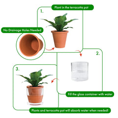 D'vine Dev Self Watering Planter with small plants