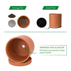 D'vine Dev Terracotta Plant Pot on a wooden table with plants