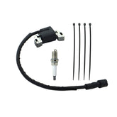 DABAZUALY Ignition Coil Magneto Armature 595304 front view