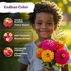 Dahlia Zinnia flowers in a vase showcasing vibrant colours