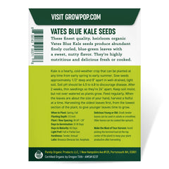 Dark blue-green kale leaves growing in a garden