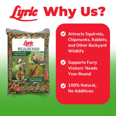 Dayang Wildlife Critter Food in bird feeder