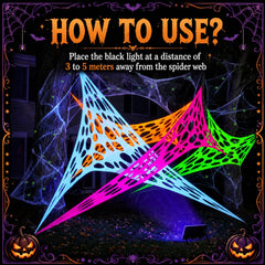 Decorated garden path with PURPLE STAR 1N spider web