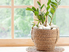 Decorative arrangement of FANTIAN white pebbles in a garden