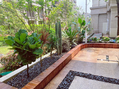 Decorative use of black river rocks in a planter