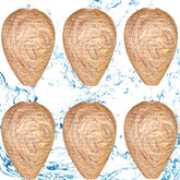 DECYOOL 6 Pack Wasp Nest Decoy dark brown artificial nests