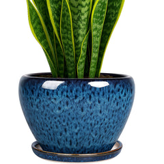 Deep Dream 8 Inch Ceramic Plant Pot in peacock blue with tray