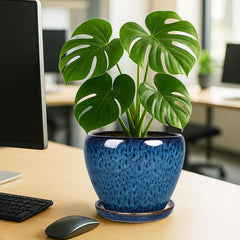 Deep Dream Ceramic Plant Pot with succulent plant inside