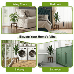 Delma wooden plant stands arranged with various plants